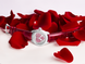 Backes & Strauss Watch Piccadilly Mystery Red Heart 37 Limited Edition