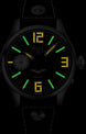 Ball Watch Company Engineer Master II Waco Glider Limited Edition