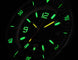 Ball Watch Company Engineer Master II Diver Worldtime Limited Edition Watch