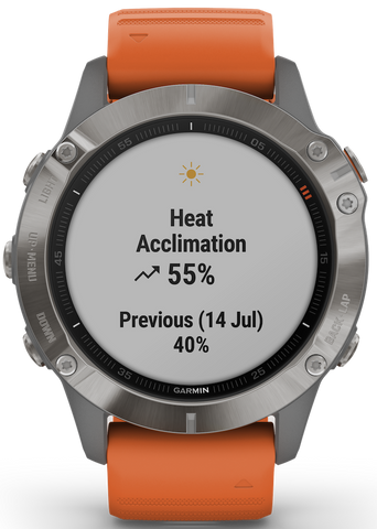 Fenix 6 sapphire sales titanium