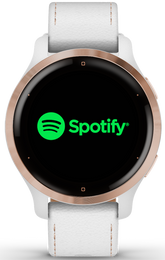 Garmin Venu 2S Rose Gold