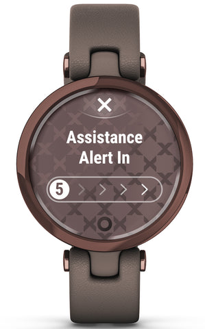 Garmin Watch Lily Dark Bronze Paloma Case and Italian Leather Band D