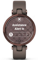 Garmin Watch Lily Dark Bronze Paloma Case and Italian Leather Band D