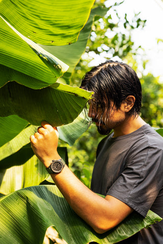 Norqain Wild One & Norteq Black Black Mesh