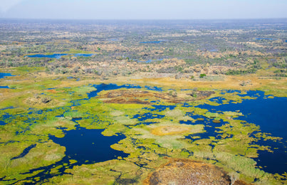 Oris Big Crown ProPilot Okavango Air Rescue Limited Edition
