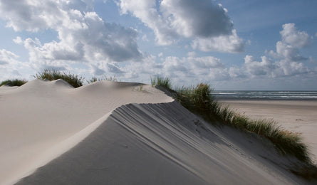 Oris Watch Aquis Dat Watt Limited Edition