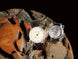 MeisterSinger Watch Pangaea 365 Limited Edition