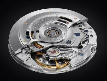 Muhle Glashutte Panova Green Watch D