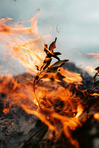 Oris Big Crown ProPilot Coulson Calibre 400 Limited Edition D