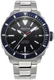 Alpina Watch Seastrong Diver 300 AL-525LBN4V6B