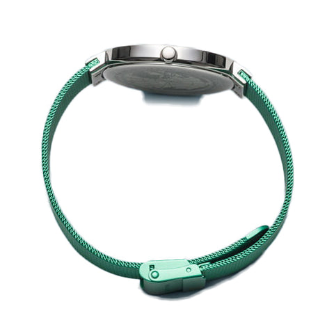 Bering Classic Unisex Watch