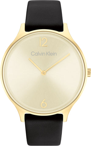 Calvin Klein Watch Timeless 2H 25200008