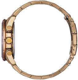 Citizen Promaster Perpetual Chrono A.T Eco Drive Mens Watch