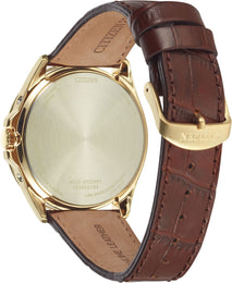 Citizen World Time A.T Eco Drive Mens