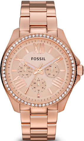 Fossil Watch Cecile Ladies AM4483