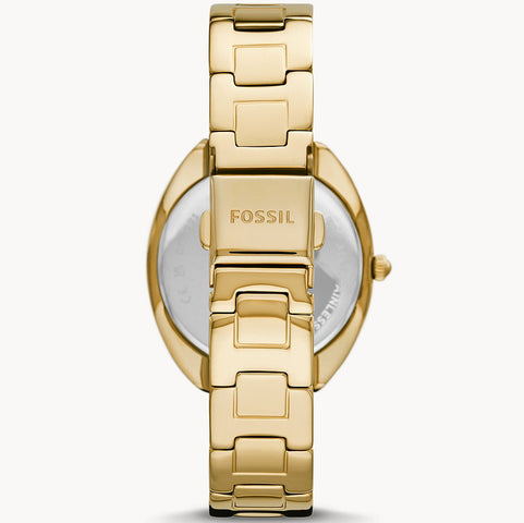Fossil Watch Gabby Ladies