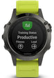 Garmin Watch Fenix 5 Slate Grey 010-01688-02