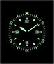 Elliot Brown Holton Professional D