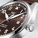 IWC Watch Pilots Mark XVIII Edition Antoine De Saint Exupery D
