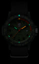 Luminox Watch Leatherback Sea Turtle Giant 0320 Series
