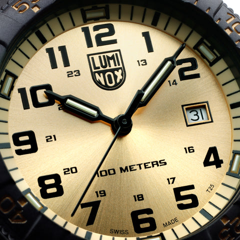 Luminox Leatherback Sea Turtle Giant 0320 Series Watch