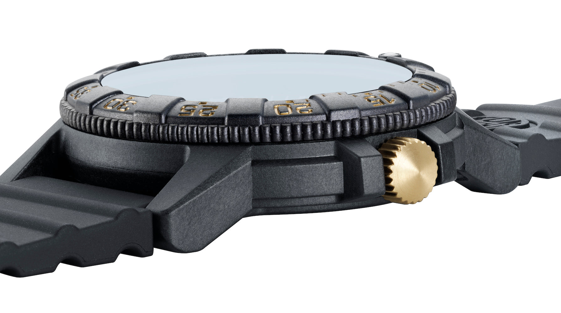 Luminox Leatherback Sea Turtle Giant 0320 Series Watch XS.0325.GP Watch ...