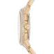 Michael Kors Camille Ladies Watch