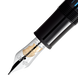 Montblanc Donation Pen Homage to Frederic Chopin Special Edition Fountain Pen F D