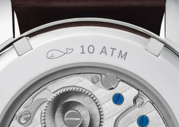 Nomos Glashutte Watch Club Steel Back