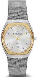 Skagen Watch Ladies SKW2050