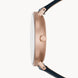Skagen Watch Aaren Naturals Ladies