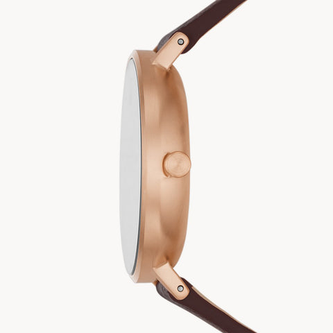 Skagen Watch Aaren Naturals Ladies D