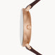 Skagen Watch Aaren Naturals Ladies D