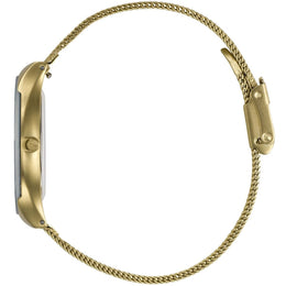 Storm Mini Sotec Gold Teal Watch