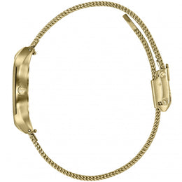 Storm Watch Mini Terelo Gold Ice