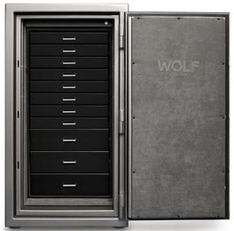 WOLF Watch & Jewellery Safe Atlas Titanium 4901