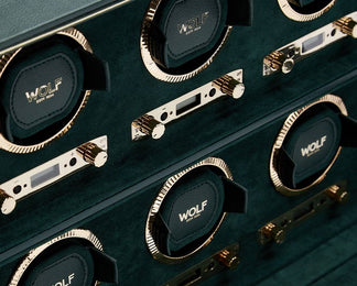 WOLF Watch Winder British Racing Green 6 Piece